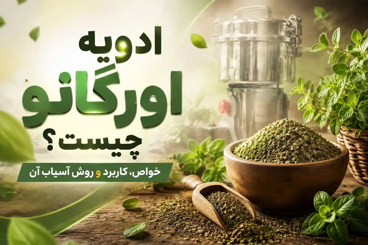 ادویه اورگانو چیست؟ خواص، کاربرد و روش آسیاب آن